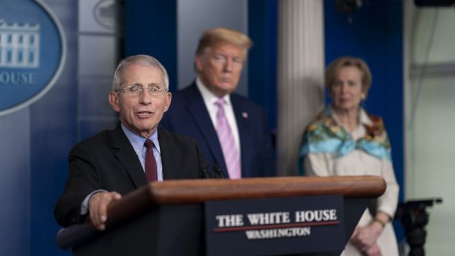 Quem é Anthony Fauci, principal cientista dos EUA no combate ao coronavírus, que contradiz Trump sobre cloroquina