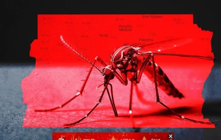 Saúde confirma dois casos do sorotipo 3 da dengue no Distrito Federal