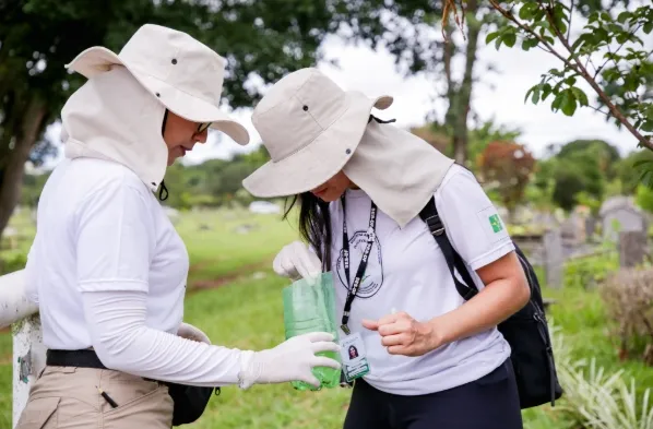 Não caia em fake news: Saiba como funcionam armadilhas contra o Aedes aegypti