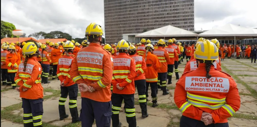 GDF lança Operação Verde Vivo para reforçar combate a incêndios florestais