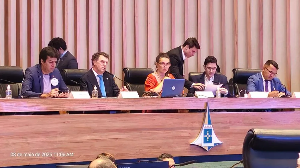 Com novo relator, CPI aprova 38 requerimentos para apurar impactos ambientais