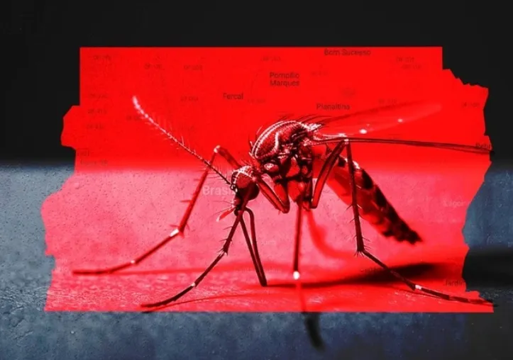 Dengue: Saúde do DF fica em alerta para provável avanço do tipo 3