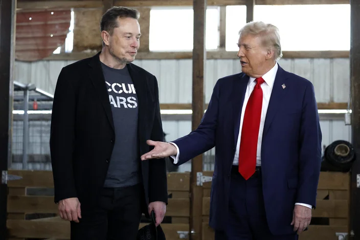 Musk fazia parte do Departamento de Eficiência Governamental