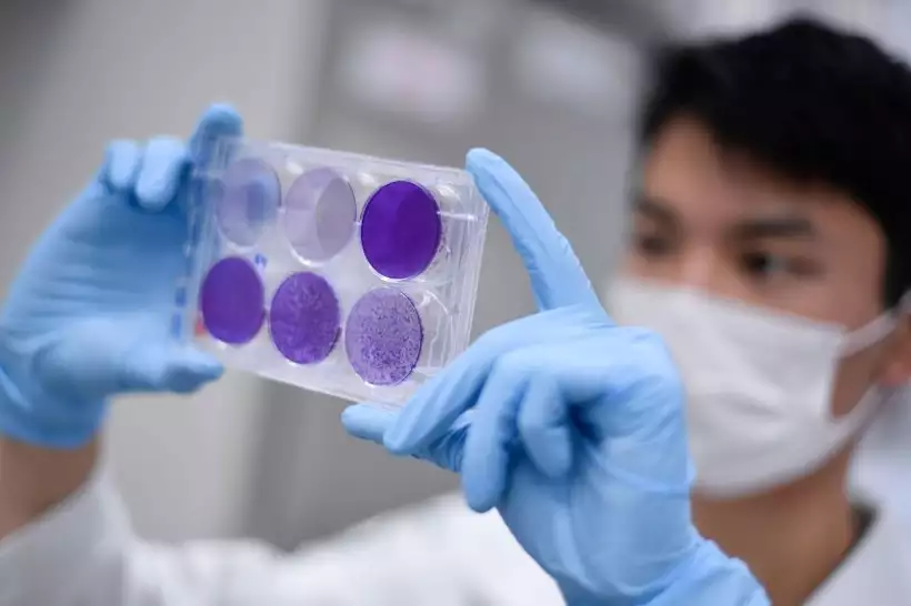 Vacina contra covid-19 será testada no DF, pela Universidade de Brasília