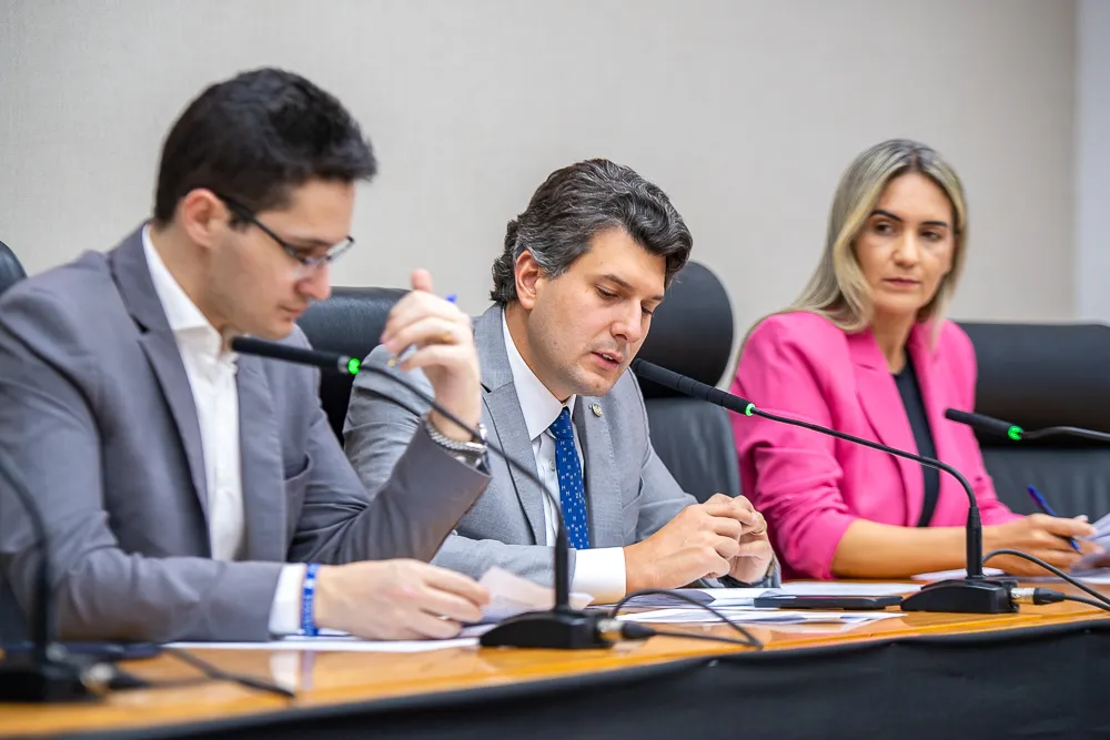 CEOF realiza audiência pública para debater o Orçamento do DF para 2026
