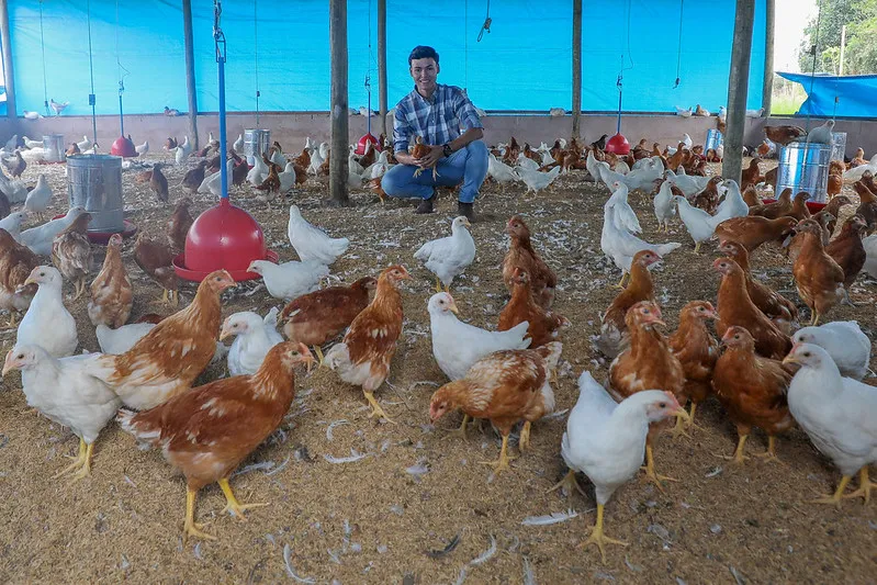 GDF impulsiona crédito agrícola com investimento de R$ 8 milhões