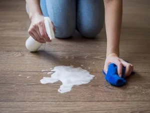 Como usar produtos de limpeza corretamente e reduzir gastos no dia a dia