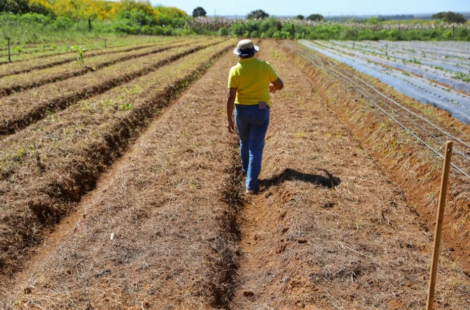 GDF lança edital para regularização fundiária de 182 imóveis rurais em Sobradinho