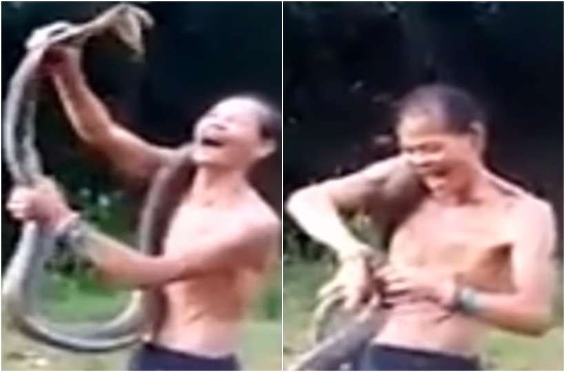 Encantador de cobras morre após ser picado durante apresentação; veja vídeo