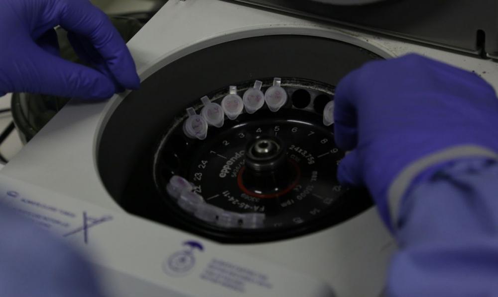 Sobem para 11 os casos suspeitos de infecção pelo novo coronavírus 